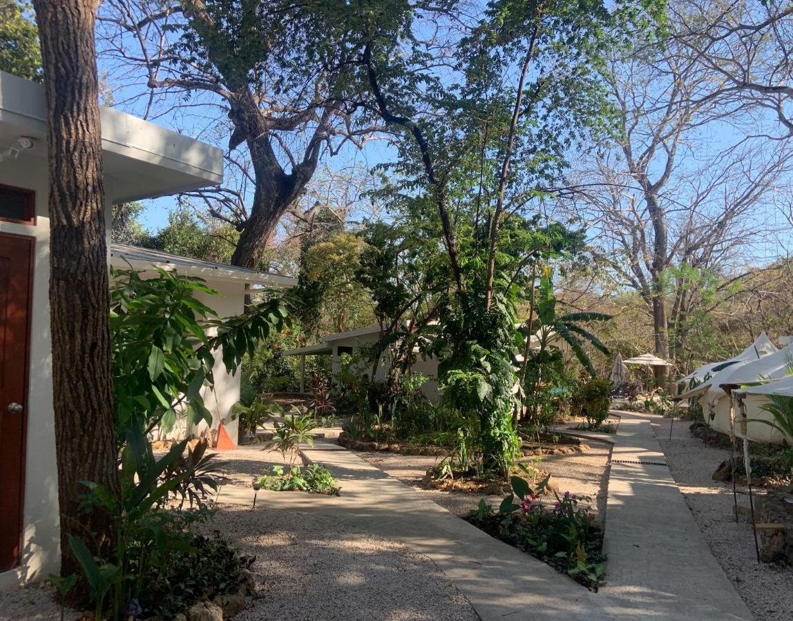 Driftwood Glamping & Boutique Hotel Playa Guiones Exterior foto